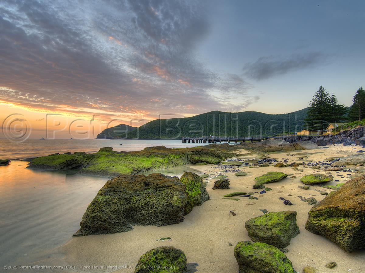 Peter Bellingham Photography Lord Howe Island - NSW SQ (PB5D 00 4268)